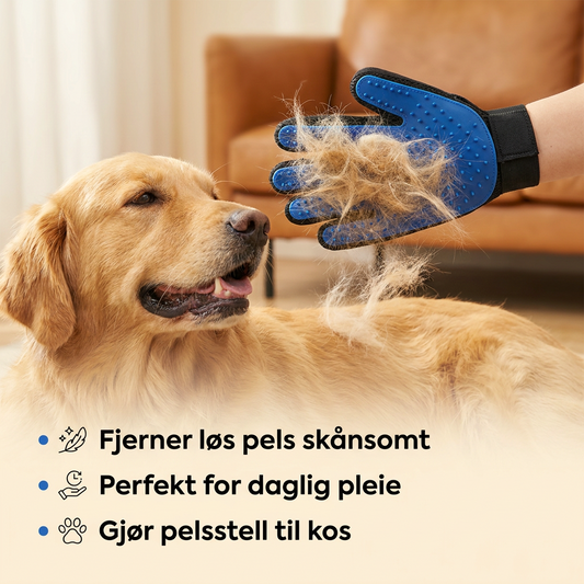 Doglivo™ Grooming Glove – Brush Away Loose Fur
