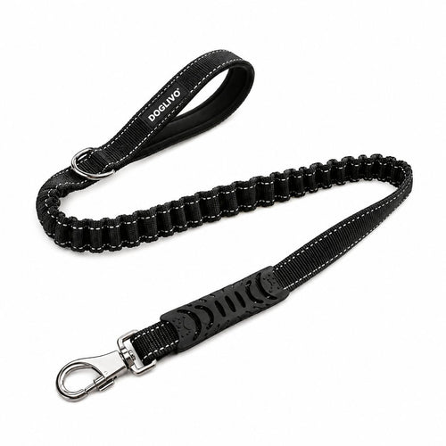 Doglivo™ Shock-Absorbing Leash