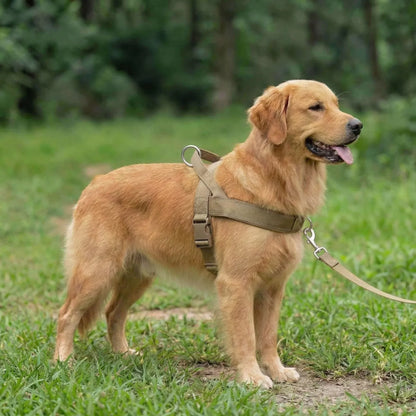 Doglivo™ No-Pull Dog Harness
