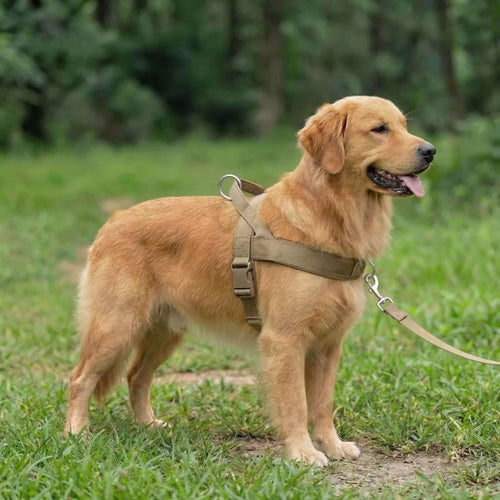 Doglivo™ No-Pull Dog Harness