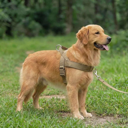 Doglivo™ No-Pull Dog Harness