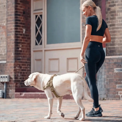 Doglivo™ No-Pull Dog Harness