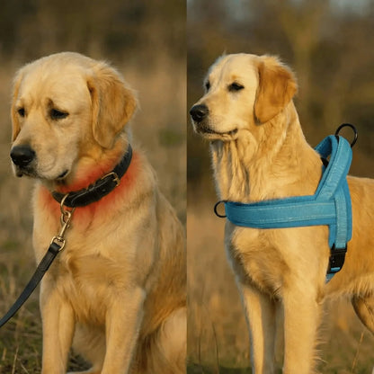 Doglivo™ No-Pull Dog Harness